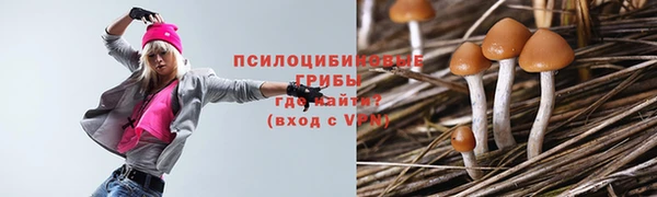 jwh Аркадак